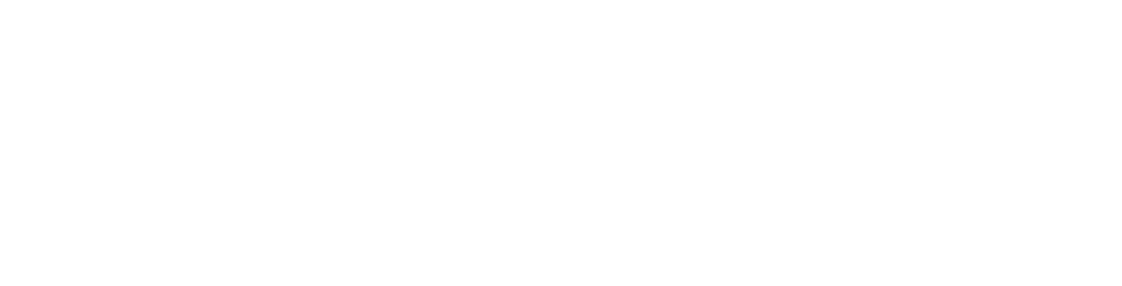 Orbitwebx Logo